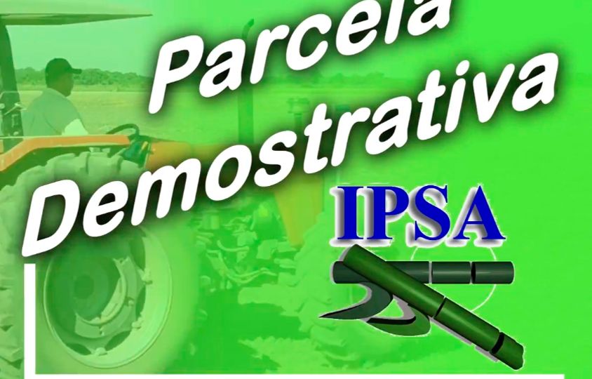 parcela-demostrativa